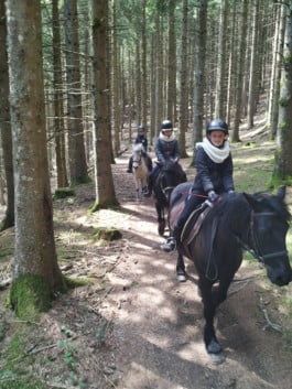 Trois cavalières et leurs chevaux dans la forêt