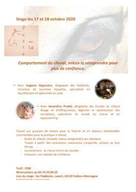 AFFICHE STAGE 