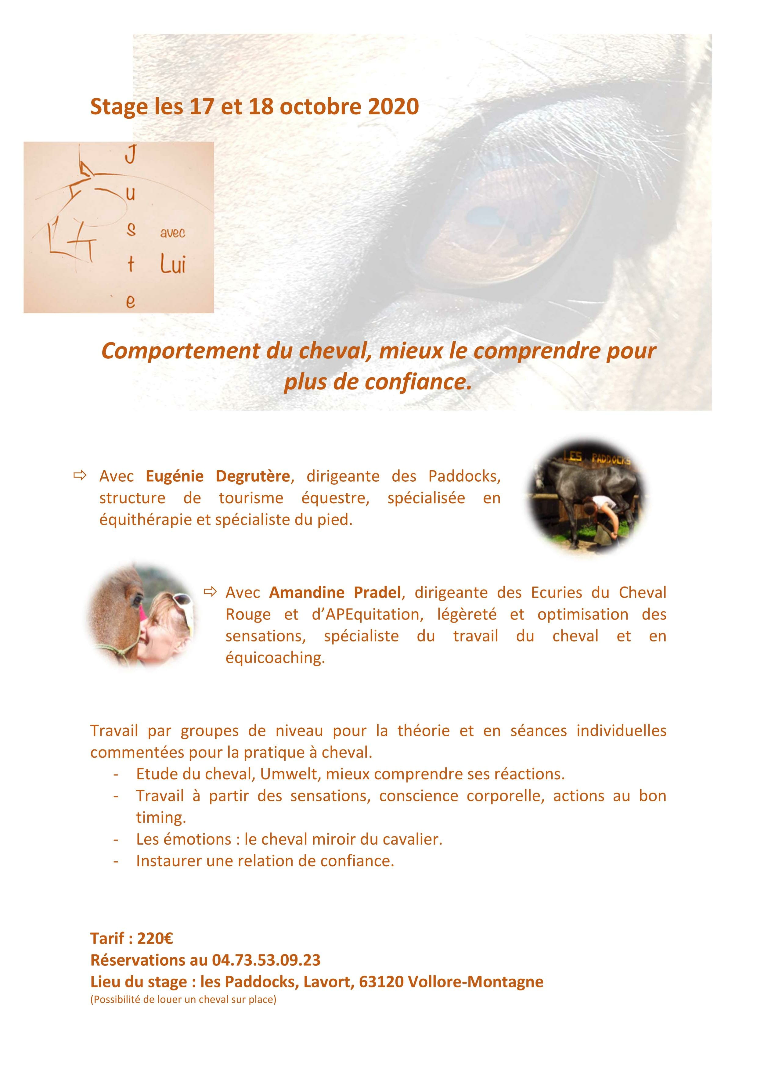 AFFICHE STAGE