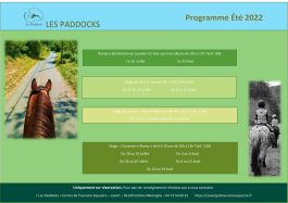 Programme des stages et randonnées à cheval ou à poney 