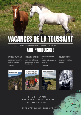 Affiche des activités équestre pour les vacances de la Toussaint 